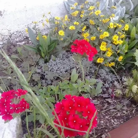 Feriehus House Ivana