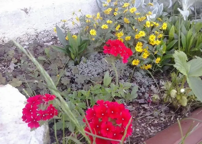 Vakantiehuis House Ivana